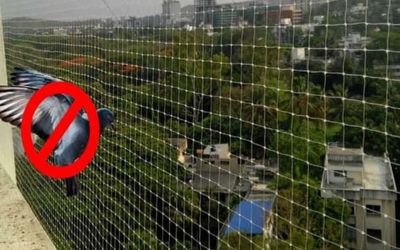Pigeon Safety Nets for Balconies in Chennai