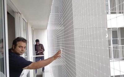 pigeon safety nets in Chennai